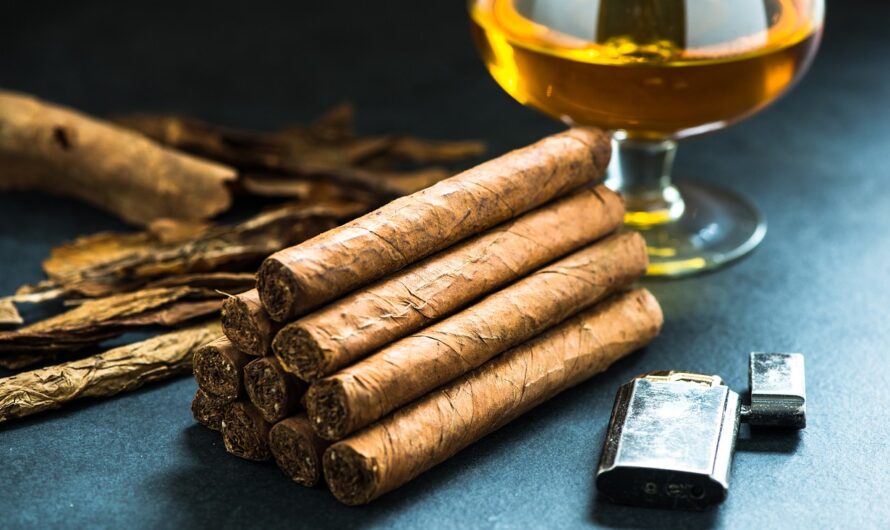 India Cigar and Cigarillos Market to Witness Rapid Growth Owing to High Disposable Income