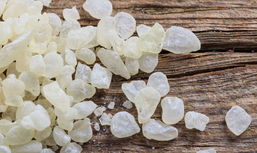 Mastic Gum: The Natural Plant Resin with Remarkable Health Benefits