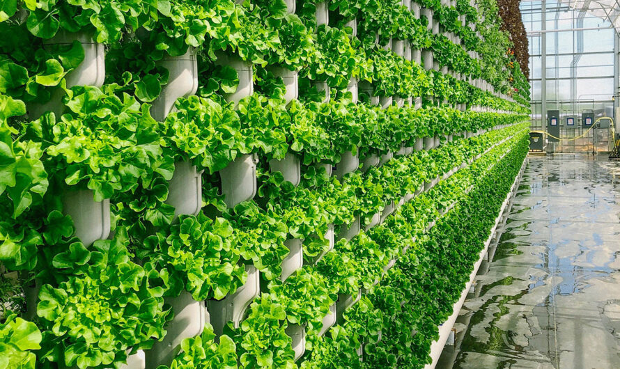 Vertical Farming: The Future of Food Production