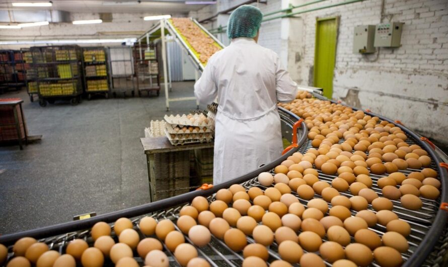 Investigating Competitive Strategies: Key Insights into Egg Processing Market Players