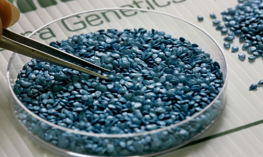 Investigating Competitive Strategies: Key Insights into Genetically Modified Seeds Market Players