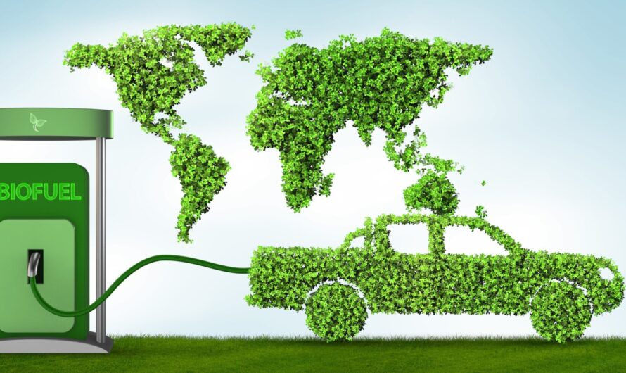 India’s Renewable Energy Goals Spur Growth In The Biofuels Market
