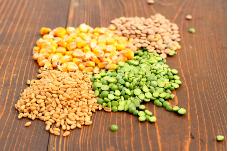 The Global Organic Feed Market Trends In High Demand By Growing Health Awareness
