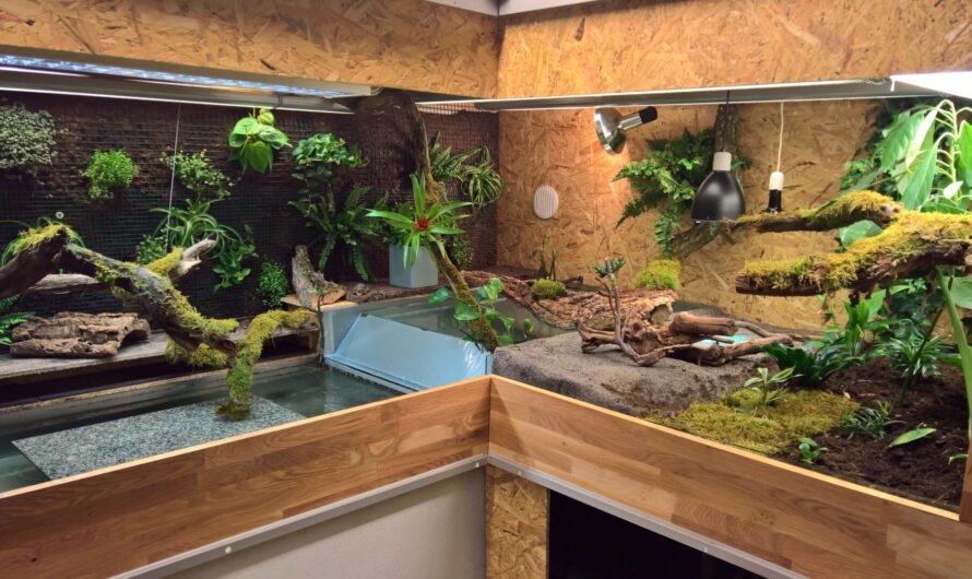 Reptile Enclosure Market Is Growing in Sales Due To Increased Pet Ownership