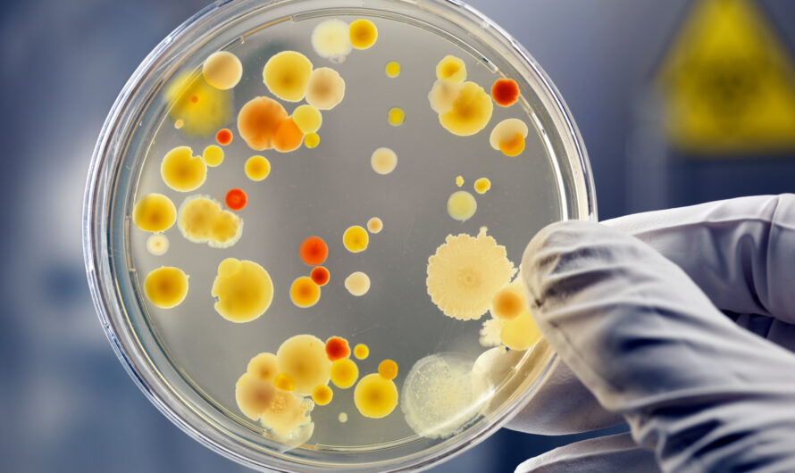 The Global Microbial API Market is Driving Innovation in Pharmaceutical Development