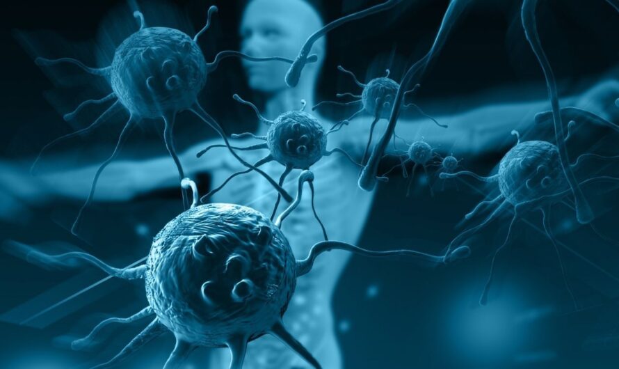 Unraveling the Secret Weapon of Immune B Cells: Eliminating Cancer Cells Throughout the Body
